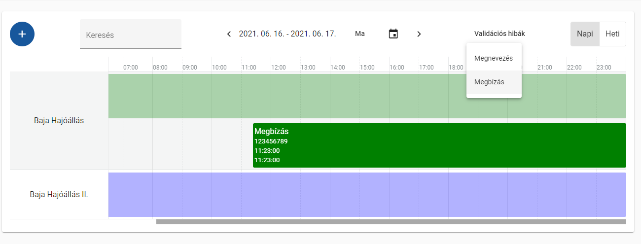 Validációs hibák - kiválasztott hibás bejegyzés